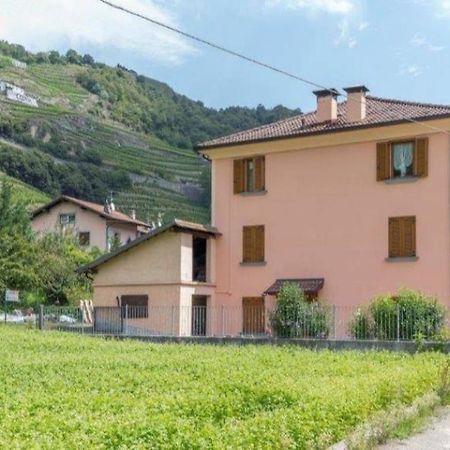 Joy Valtellina Per Amanti Degli Animali Hotel Tresenda Kültér fotó