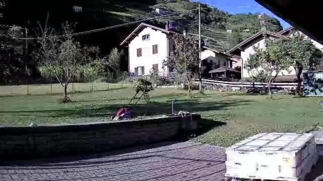 Joy Valtellina Per Amanti Degli Animali Hotel Tresenda Kültér fotó